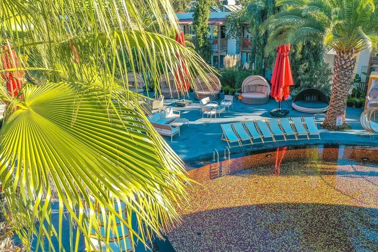 ***** 호텔 Marvida Senses Very Chic Bodrum Adult Only 검벳 터키