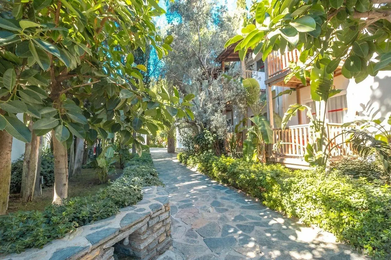 Hotel Marvida Senses Very Chic Bodrum Adult Only Gumbet
