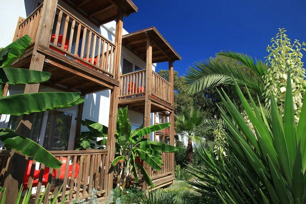 Hotel Marvida Senses Very Chic Bodrum Adult Only Gumbet