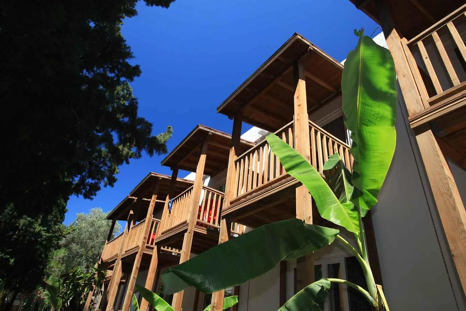 Very Chic Bodrum Adult Only Gümbet Tyrkiet
