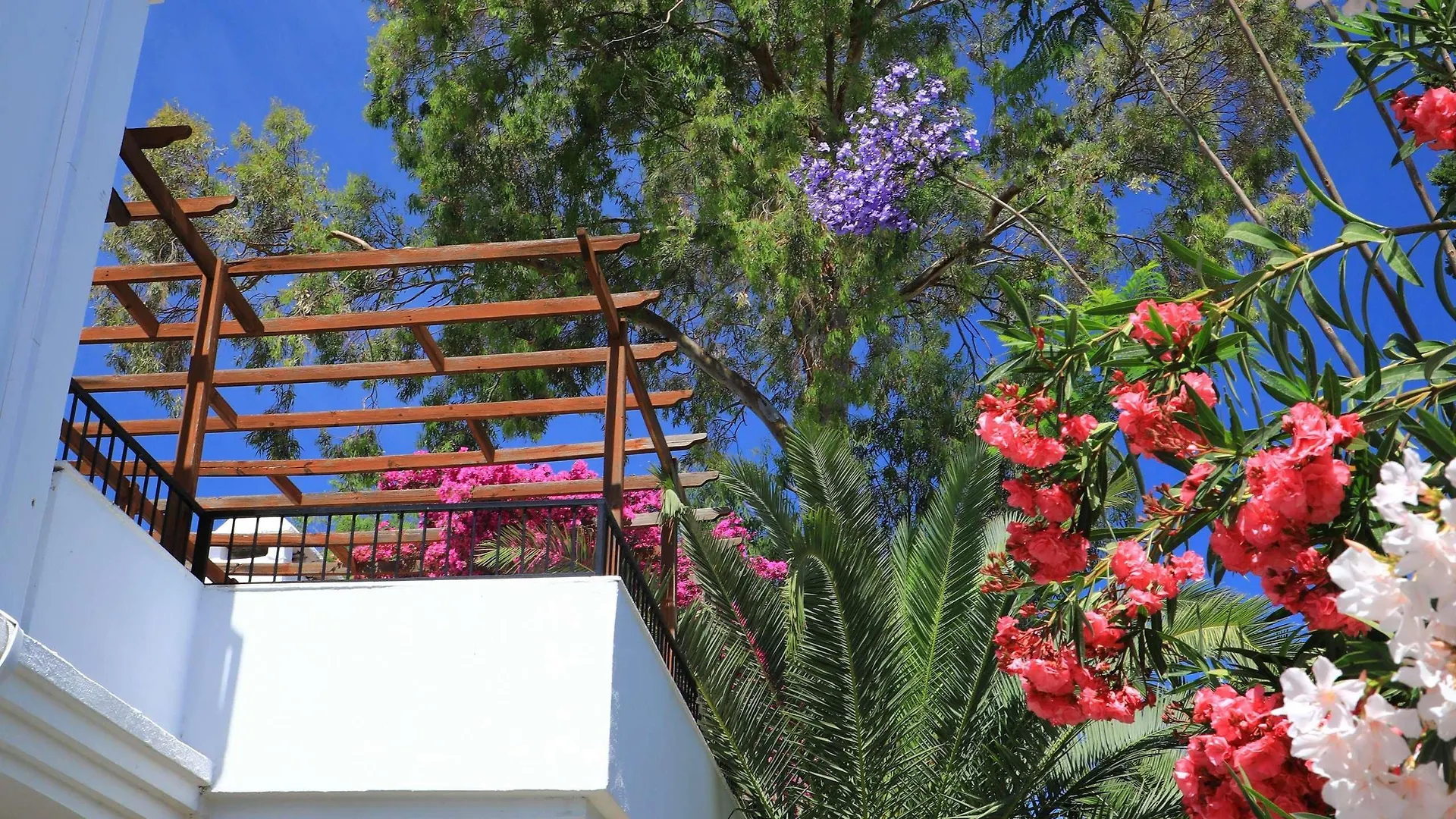 Marvida Senses Very Chic Bodrum Adult Only Gumbet 5*,