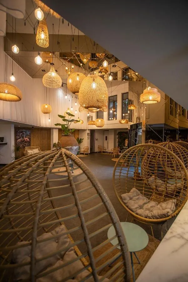 Marvida Senses Very Chic Bodrum Adult Only Gumbet Hotel
